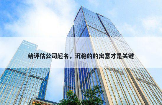给评估公司起名，沉稳的的寓意才是关键