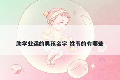 助学业运的男孩名字 姓韦的有哪些