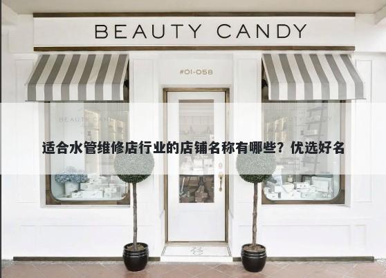 适合水管维修店行业的店铺名称有哪些?优选好名