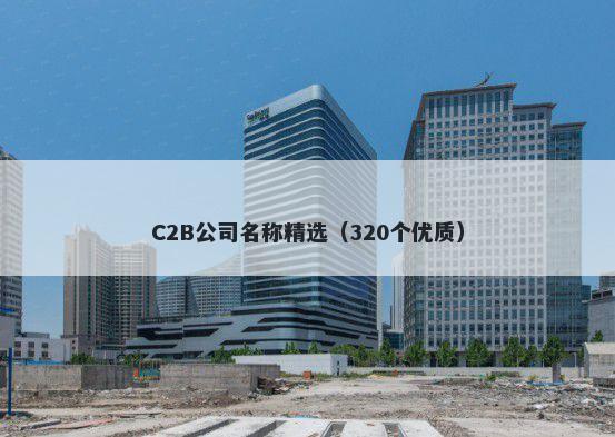 C2B公司名称精选（320个优质）