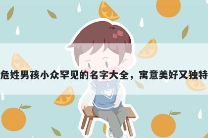 危姓男孩小众罕见的名字大全，寓意美好又独特