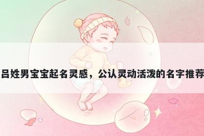 吕姓男宝宝起名灵感，公认灵动活泼的名字推荐