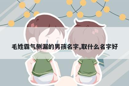 毛姓霸气侧漏的男孩名字,取什么名字好