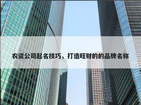 农资公司起名技巧，打造旺财的的品牌名称