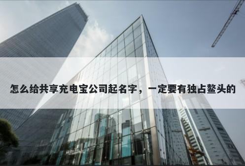 怎么给共享充电宝公司起名字，一定要有独占鳌头的