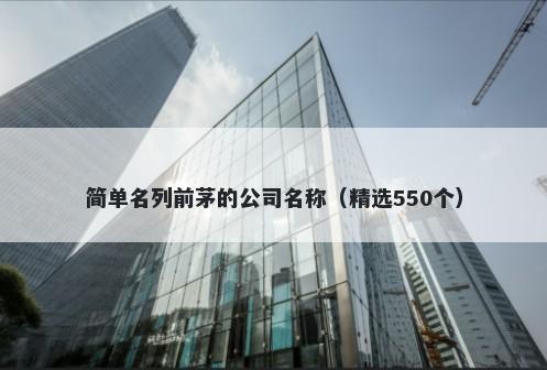 简单名列前茅的公司名称（精选550个）