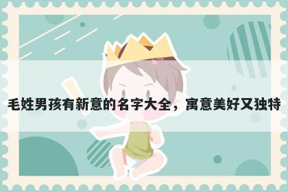 毛姓男孩有新意的名字大全，寓意美好又独特