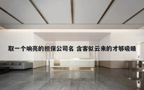 取一个响亮的担保公司名 含客似云来的才够吸睛