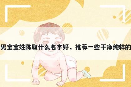 刚出生的男宝宝姓陈取什么名字好，推荐一些干净纯粹的男孩名字