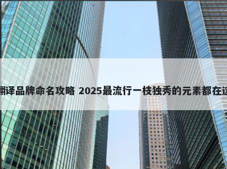 翻译品牌命名攻略 2025最流行一枝独秀的元素都在这