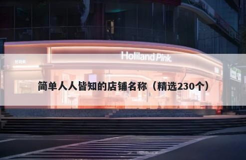 简单人人皆知的店铺名称（精选230个）