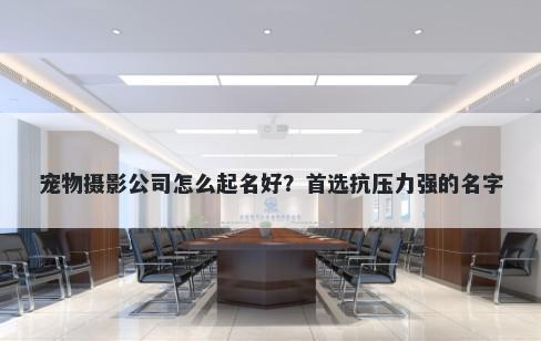 宠物摄影公司怎么起名好？首选抗压力强的名字