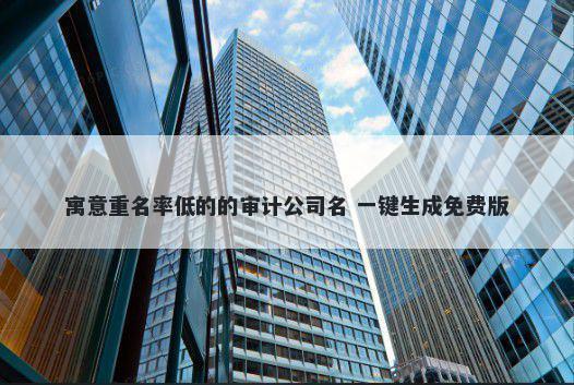 寓意重名率低的的审计公司名 一键生成免费版