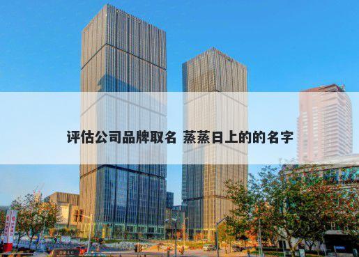 评估公司品牌取名 蒸蒸日上的的名字