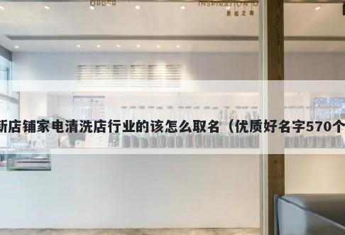 新店铺家电清洗店行业的该怎么取名（优质好名字570个）