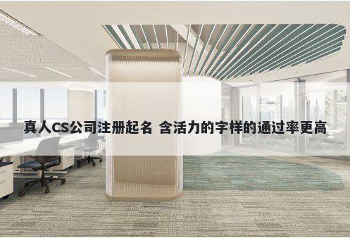真人CS公司注册起名 含活力的字样的通过率更高