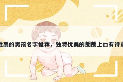 姓禹的男孩名字推荐，独特优美的朗朗上口有诗意