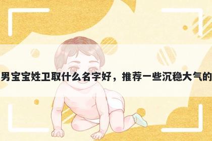 刚出生的男宝宝姓卫取什么名字好，推荐一些沉稳大气的男孩名字