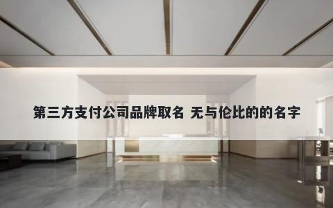 第三方支付公司品牌取名 无与伦比的的名字