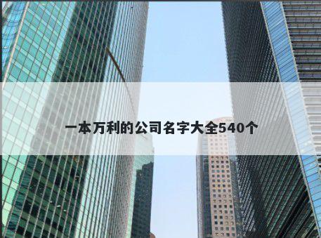 一本万利的公司名字大全540个