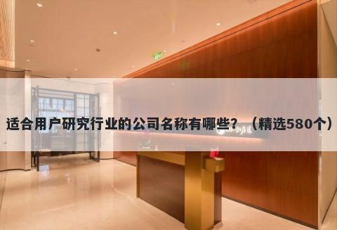 适合用户研究行业的公司名称有哪些？（精选580个）