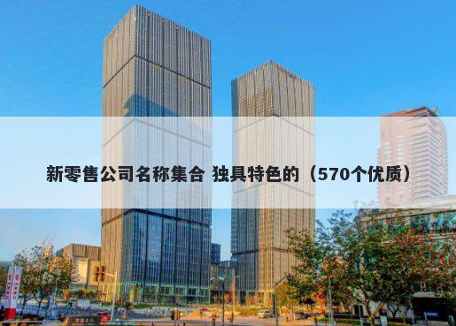 新零售公司名称集合 独具特色的（570个优质）