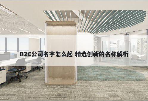 B2C公司名字怎么起 精选创新的名称解析