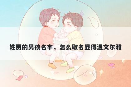 姓贾的男孩名字，怎么取名显得温文尔雅