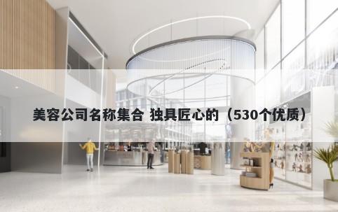 美容公司名称集合 独具匠心的（530个优质）