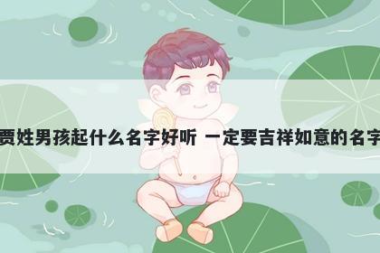 贾姓男孩起什么名字好听 一定要吉祥如意的名字