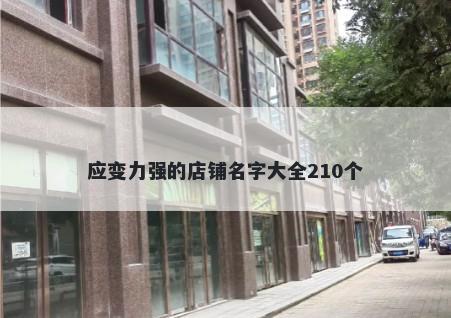 应变力强的店铺名字大全210个