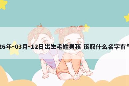 2026年-03月-12日出生毛姓男孩 该取什么名字有气质