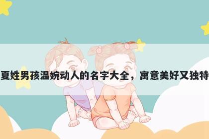 夏姓男孩温婉动人的名字大全，寓意美好又独特