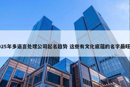 2025年多语言处理公司起名趋势 这些有文化底蕴的名字最旺运