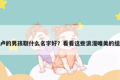 姓卢的男孩取什么名字好？看看这些浪漫唯美的组合