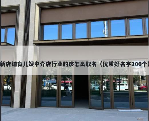 新店铺育儿嫂中介店行业的该怎么取名（优质好名字200个）