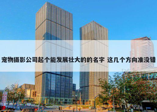 宠物摄影公司起个能发展壮大的的名字 这几个方向准没错