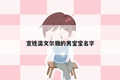 宣姓温文尔雅的男宝宝名字