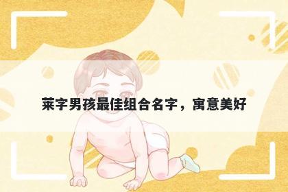 莱字男孩最佳组合名字，寓意美好