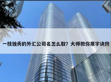 一枝独秀的外汇公司名怎么取?大师教你用字诀窍