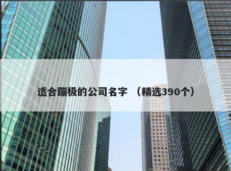 适合蹦极的公司名字 （精选390个）