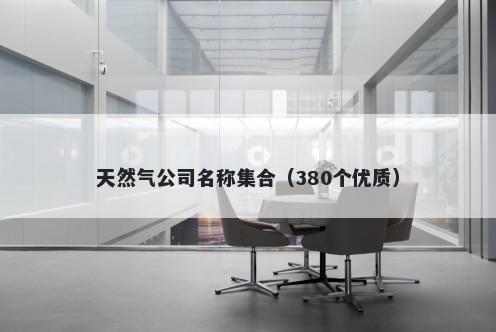 天然气公司名称集合（380个优质）