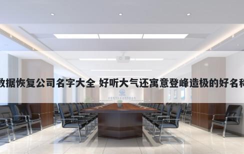 数据恢复公司名字大全 好听大气还寓意登峰造极的好名称