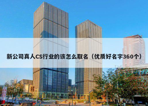 新公司真人CS行业的该怎么取名（优质好名字360个）