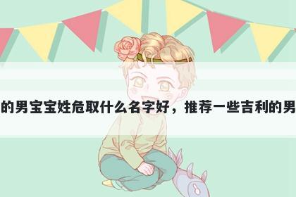 刚出生的男宝宝姓危取什么名字好，推荐一些吉利的男孩名字