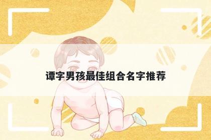 谭字男孩最佳组合名字推荐