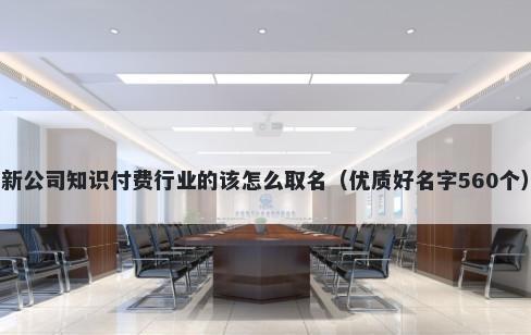 新公司知识付费行业的该怎么取名（优质好名字560个）
