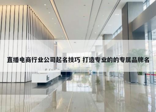 直播电商行业公司起名技巧 打造专业的的专属品牌名