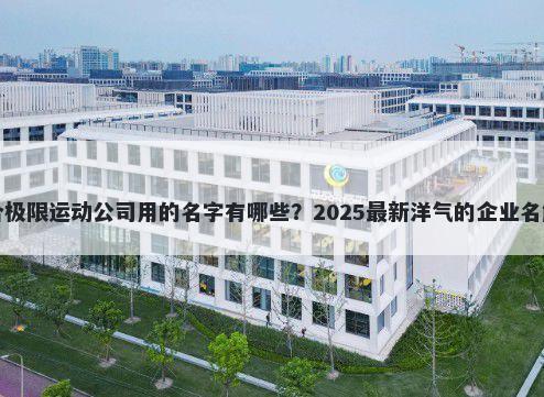 适合极限运动公司用的名字有哪些？2025最新洋气的企业名解析