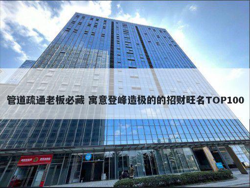 管道疏通老板必藏 寓意登峰造极的的招财旺名TOP100